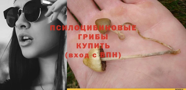 трава Ладушкин