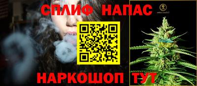 крисы Дубна