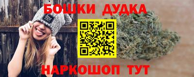 крисы Дубна