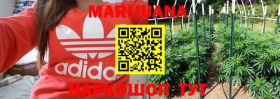 крисы Апшеронск