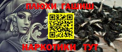 крисы Дубна