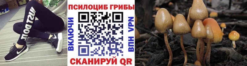 Галлюциногенные грибы MAGIC MUSHROOMS  Михайловка 